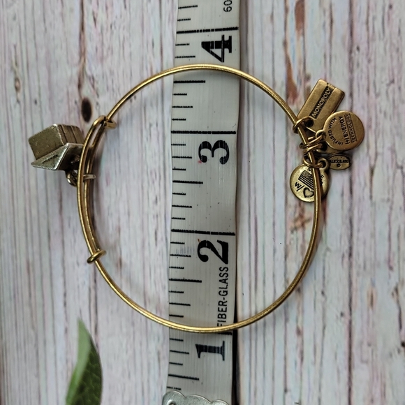 RETIRED ALEX & ANI MONOPOLY HOUSE BRACELET - Picture 4 of 4